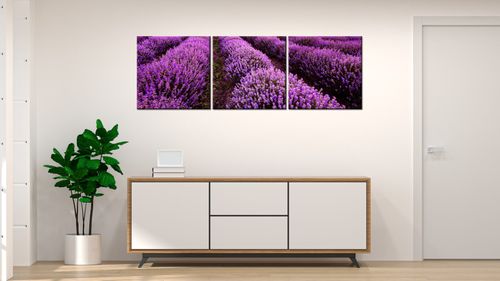 Obraz 150X50 Wschód Słońca na Arena.pl