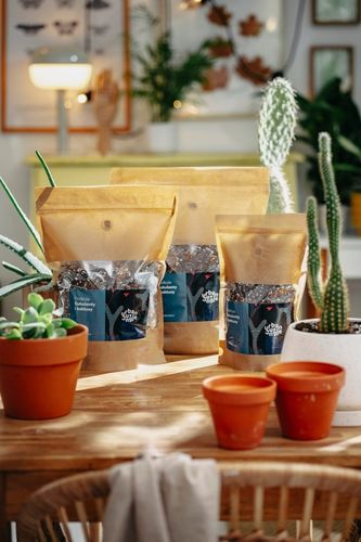 Ziemia do SUKULENTÓW i KAKTUSÓW 5L bigos, podłoże na Arena.pl