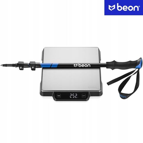 KIJE TREKKINGOWE KIJKI NORDIC WALKING DO CHODZENIA PO GÓRACH REGULOWANE na Arena.pl