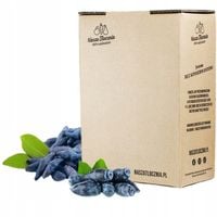 Sok tłoczony 100% JAGODA KAMCZACKA sokoli wzrok obniża cholesterol NFC 3L