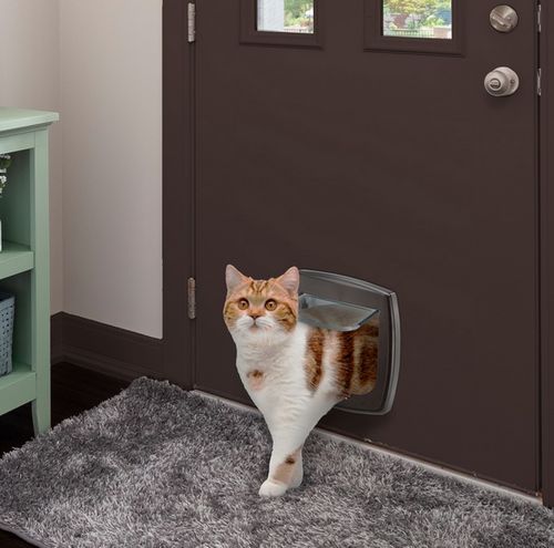 Brązowe drzwiczki z systemem blokowania dla kotów i małych psów - Swing 3 na Arena.pl