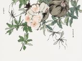 Plakat 100x75cm Owoc Granatu Morimoto Toko Japoński Vintage do Salonu