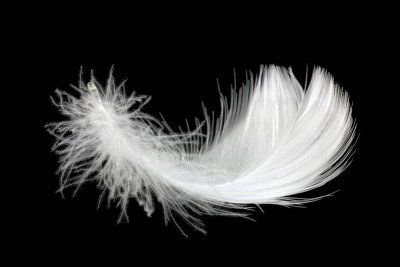 Poduszka z pierza 70x80 2 kg na Arena.pl