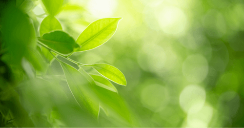 Dasty Glass & Multisurfaces Pink Spray 700Ml It na Arena.pl