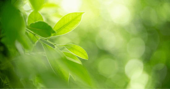 Dasty Bathroom Deo&Care 700 Ml zdjęcie 11