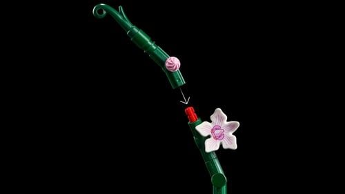 LEGO Icons Orchidea 10311 na Arena.pl