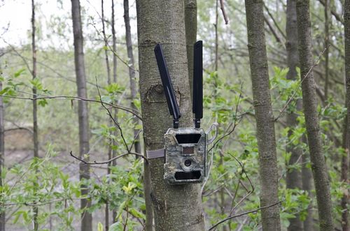 Kamera Leśna FOTOPUŁAPKA Myśliwska FHD GSM 4G LTE MMS wysyła FILMY na Arena.pl