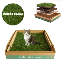 Kuweta dla kota z naturalnej trawy 50×50 cm toaleta ekologiczna