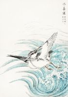 Plakat 70x100cm Mongolian Plover, Kashu Japoński Vintage do Salonu