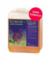 Preparat na wrzody ST.HIPPOLYT Gastro Balsam 2,5l suplement dla koni