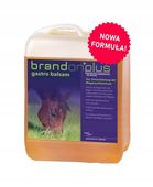 Preparat na wrzody ST.HIPPOLYT Gastro Balsam 2,5l suplement dla koni