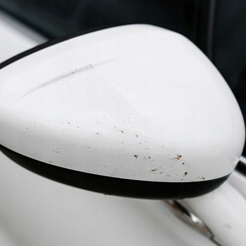 ADBL Beetle Juice Squeezer Płyn na owady 1L na Arena.pl