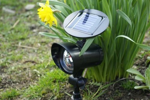 Reflektor solarny LED, zimny biały na Arena.pl