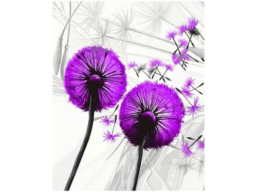 40CM 50CM OBRAZEK ŚCIENNY DMUCHAWCE FIOLECIE DRUK PŁÓTNO OBRAZ na Arena.pl