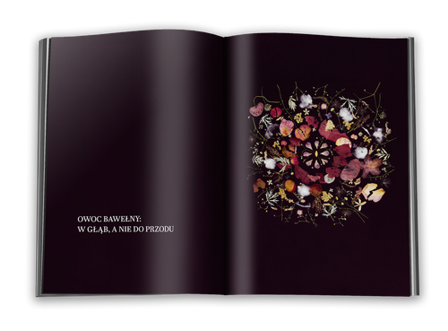 Przędza. W poszukiwaniu wewnętrznej wolności na Arena.pl