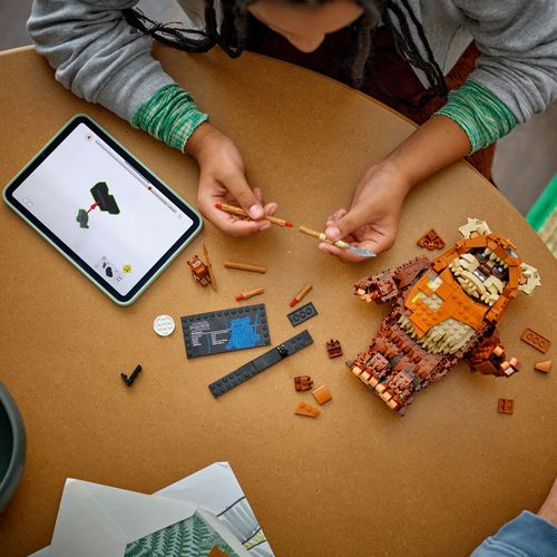 Klocki LEGO Star Wars 75430 Ewok Wicket na Arena.pl