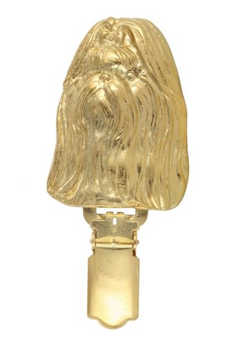 Shih Tzu - klips - 2591 na Arena.pl