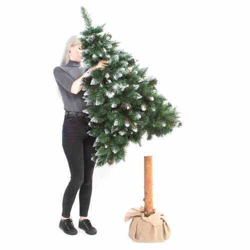 CS/HOM/SOSNA/CRISTAL/PIEN/150 na Arena.pl