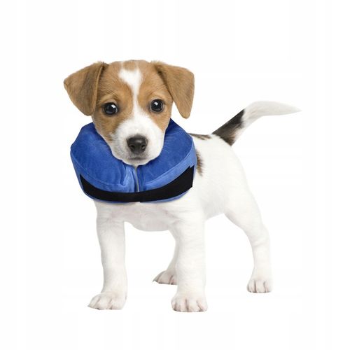 Kołnierz pooperacyjny ochronny dla psa DMUCHANY S na Arena.pl
