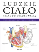 Ludzkie ciało. Atlas do kolorowania