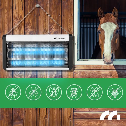 Lampa Owadobójcza 30W MasterKiller30W na Arena.pl