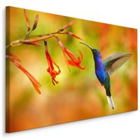 Obraz Do Salonu Sypialni Ptaki Koliber Kwiaty Natura Rośliny 40cm x 30cm