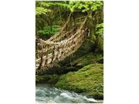 40X60CM MOST LINOWO-BAMBUSOWY OBRAZ