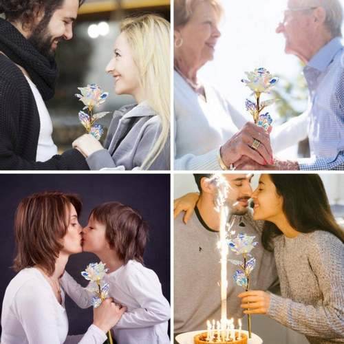 BAJKOWA RÓŻA na Arena.pl