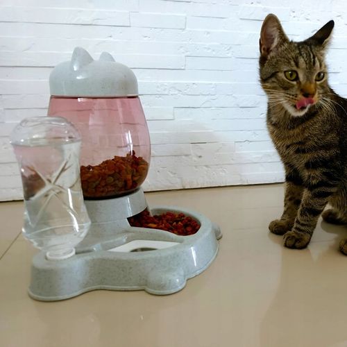 AUTOMATYCZNY PODAJNIK WODY I KARMY MISKA DLA KOTA I PSA DOZOWNIK 2W1 POIDŁO na Arena.pl