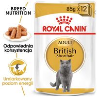 Royal Canin British Shorthair Karma Mokra W Sosie Dla Kotów Dorosłych Rasy