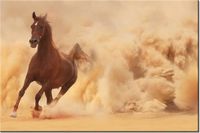 100 70CM OBRAZ PŁÓTNO KOŃ GALOPIE PŁÓTNO RAMA