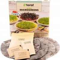 TORAF MICROGREENS MŁODE LISTKI ZESTAW 4 ROŚLIN MAT BOMBA WITAMINOWA NASIONA