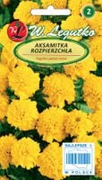 nasiona aksamitka rozpierzchła żółta, 1g