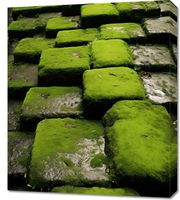 Obraz 60x70cm Zielona Mozaika