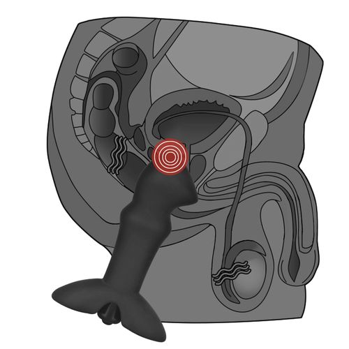 anal indulgence collection prostate stud na Arena.pl
