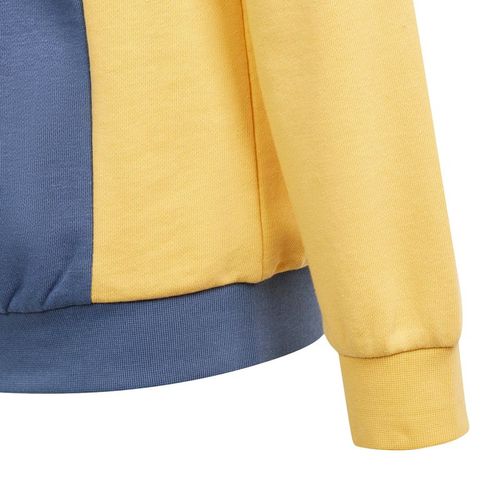 Bluza adidas Cb Ft Hd Jr IS2689 128cm na Arena.pl