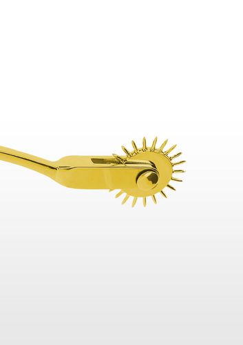 Warterberg Wheel Gold na Arena.pl