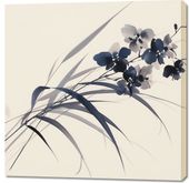 Obraz 100x100cm Orchidea w Sepii