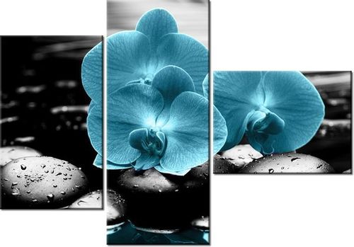 100CM 80 OBRAZ 3 ELEM STORCZYK KAMIENIE ŚCIENNY na Arena.pl