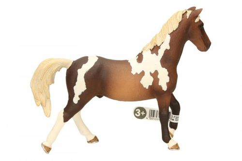 Koń Trakenhner na Arena.pl