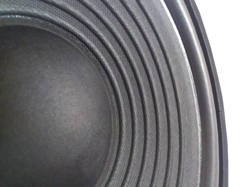 Głośnik Fonics 10 Cali  EW 100 8 ohm na Arena.pl