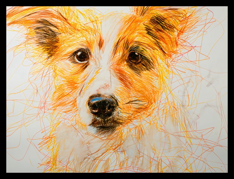 Plakat 40x30cm Uroczy Gość zdjęcie 2