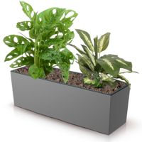 Skrzynka balkonowa wkład gładka 77x24cm mocca