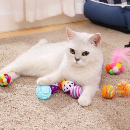 ZESTAW ZABAWEK DLA KOTA ZABAWKI DO TRENINGU KOTÓW 18 SZT na Arena.pl