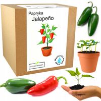 ZESTAW DO UPRAWY PAPRYKA CHILI JALAPENO PAPRYKI OSTRA CZERWONA NASIONA 5SZT