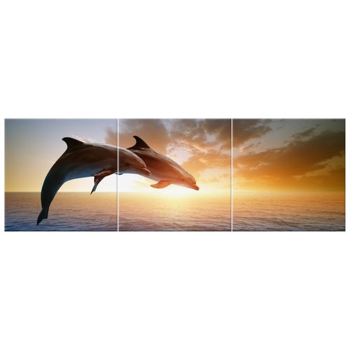 Obraz Tryptyk 90X30 Delfiny Dolphins Jumping Skac na Arena.pl