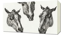 Obraz 50x30cm Trzy Głowy Koni, Jean Bernard Vintage do Salonu