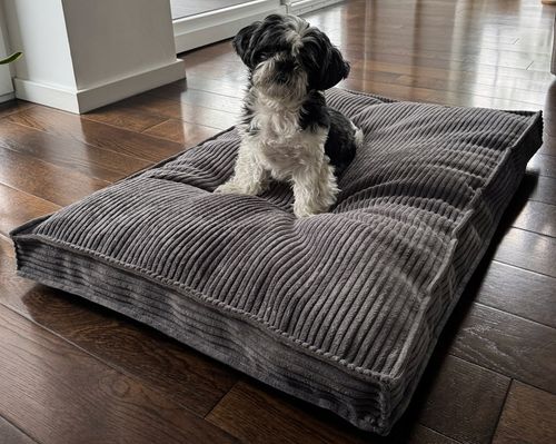 Legowisko Posłanie Poducha MIĘKKIE PLUSZOWE 100x70cm ASO szary na Arena.pl