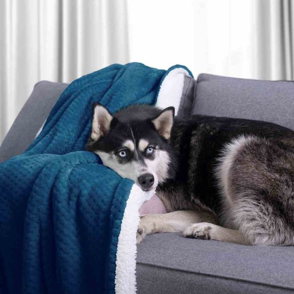 BLA/AH/SHLEEPY/INDIGO/70X150 zdjęcie 12