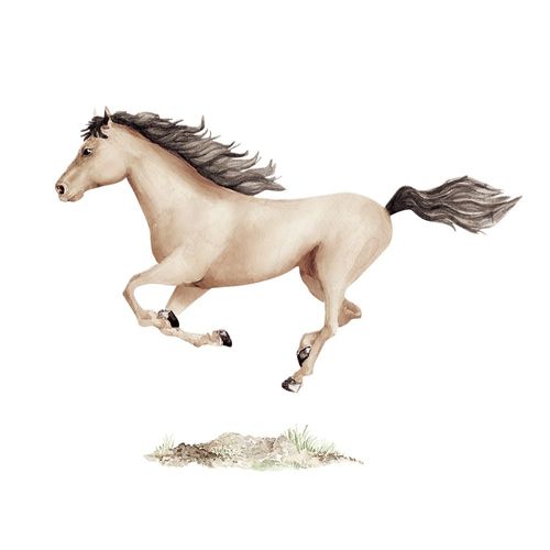 Naklejka Koństanty Karmelowy DK377 L na Arena.pl